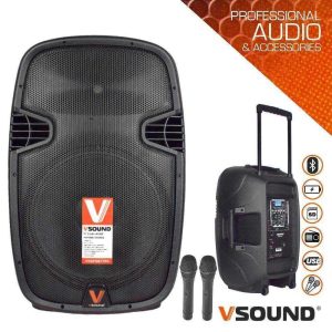 Coluna Amplificada 15" 700W USB/BT/SD/Bat/2xMIC UHF VSOUND - (VSSPORT15V)